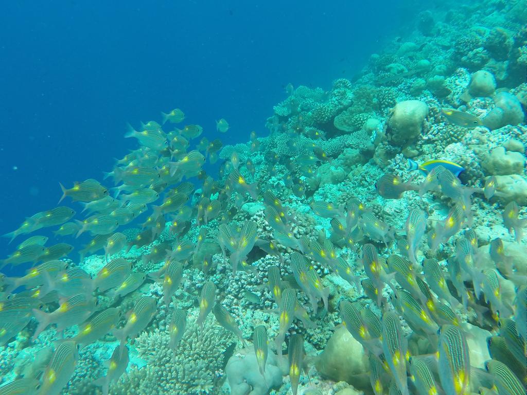 Ras Beach Inn Rasdhoo Ngoại thất bức ảnh
