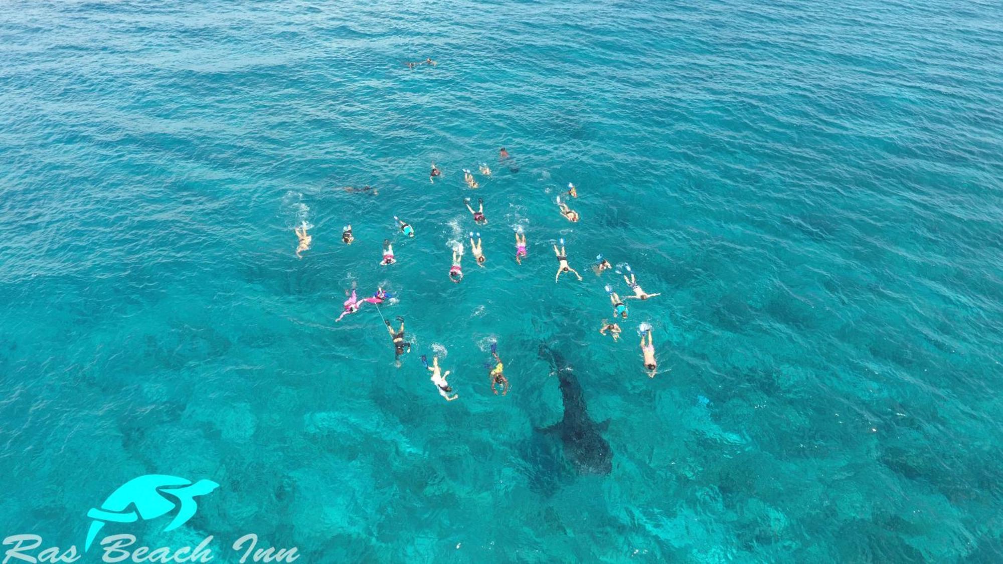Ras Beach Inn Rasdhoo Ngoại thất bức ảnh