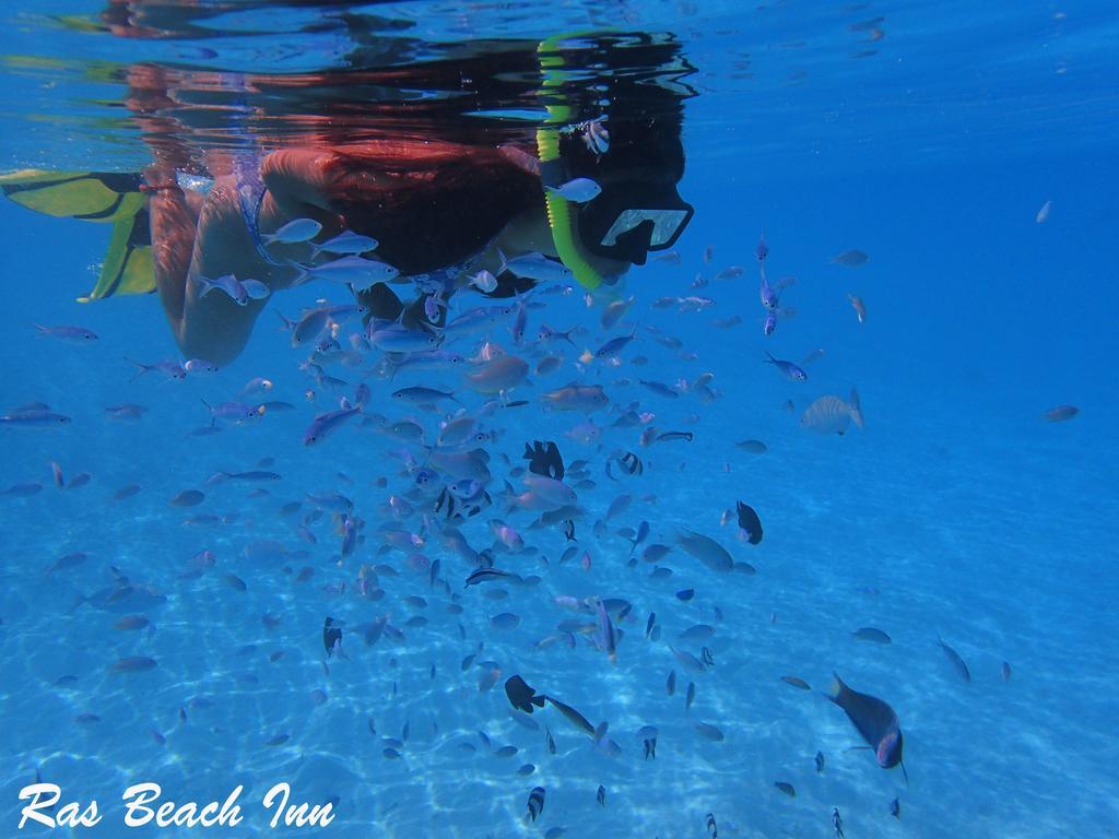 Ras Beach Inn Rasdhoo Ngoại thất bức ảnh
