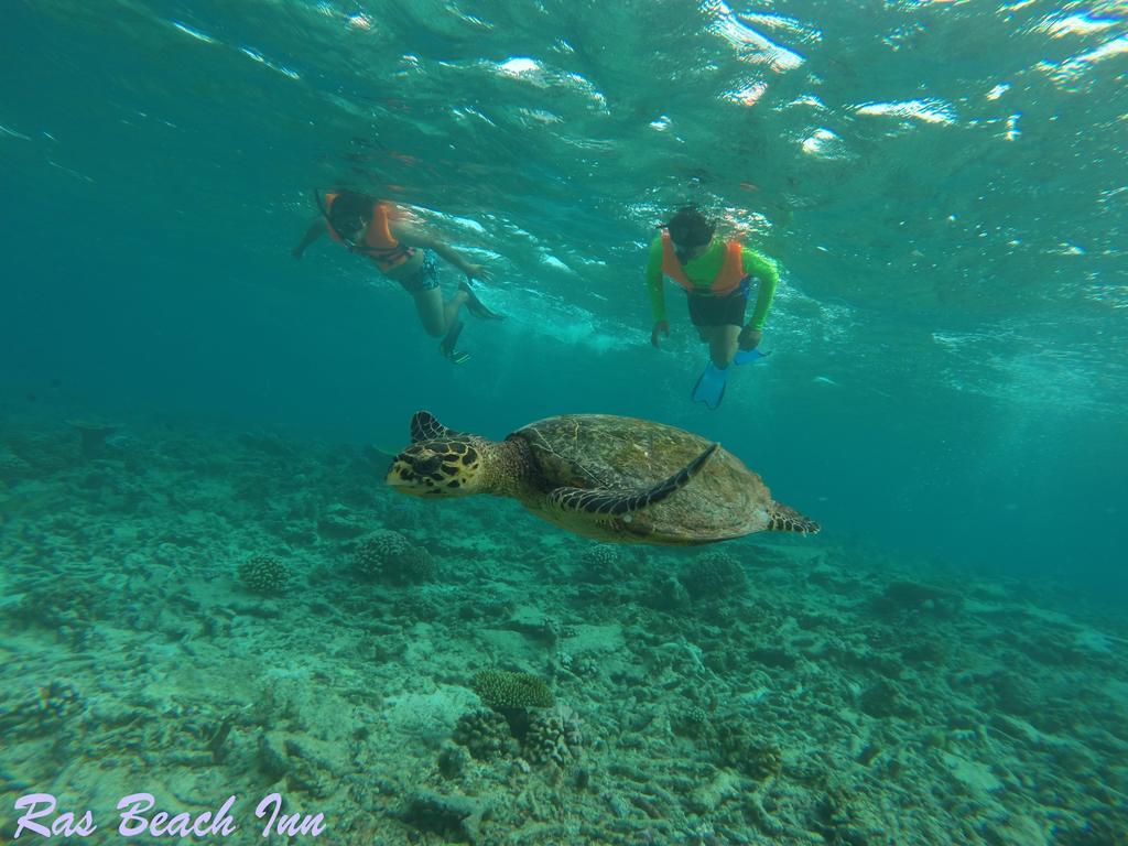 Ras Beach Inn Rasdhoo Ngoại thất bức ảnh