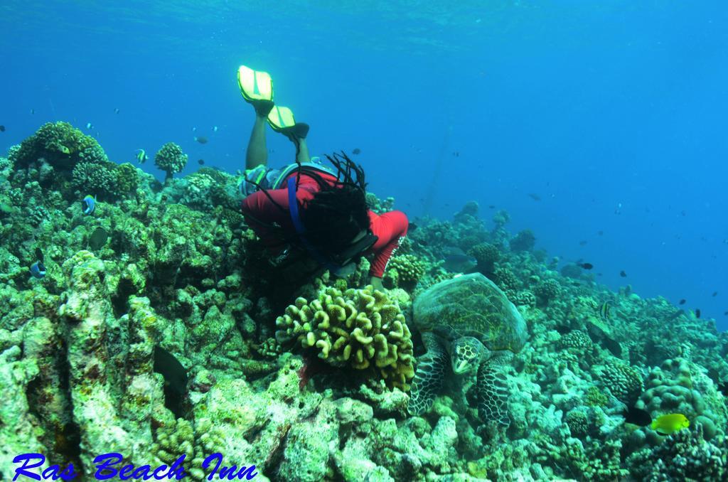 Ras Beach Inn Rasdhoo Ngoại thất bức ảnh